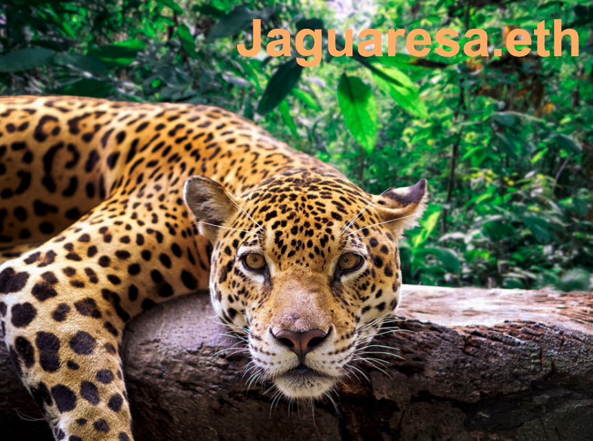 jaguaresa.eth Ethereum Name Service (ENS and .eth domain) PFP