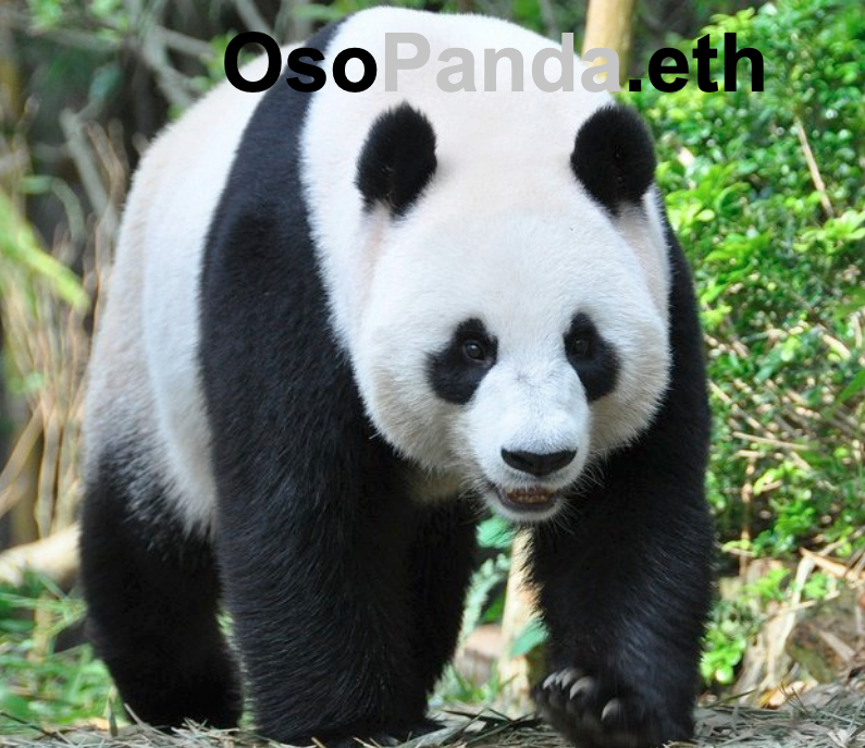 osopanda.eth Ethereum Name Service (ENS and .eth domain) PFP