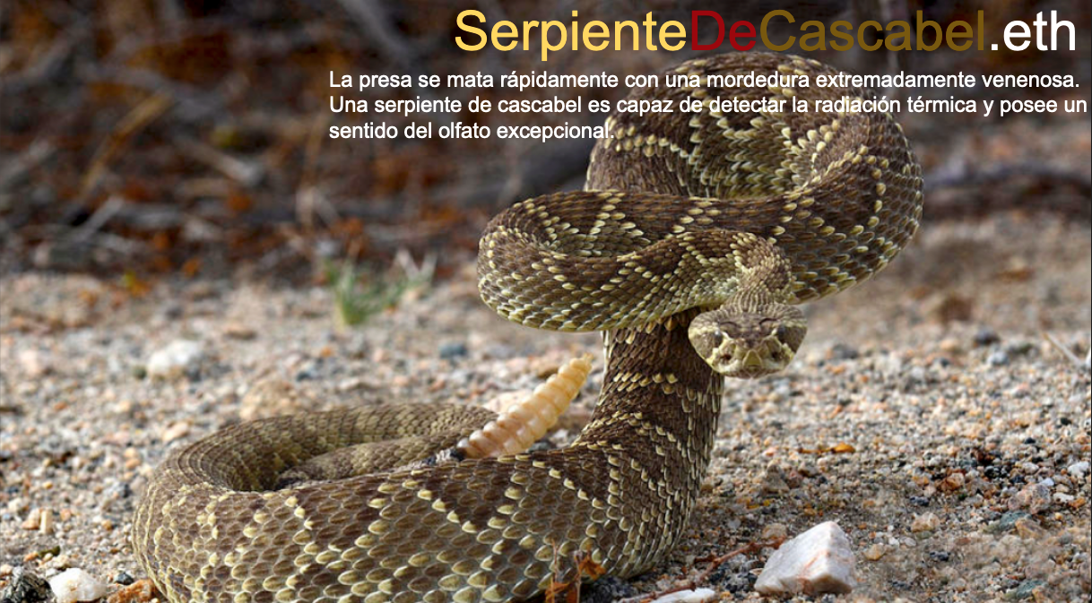 serpientedecascabel.eth Ethereum Name Service (ENS and .eth domain) PFP