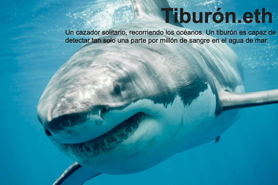 tiburón.eth Ethereum Name Service (ENS and .eth domain) PFP