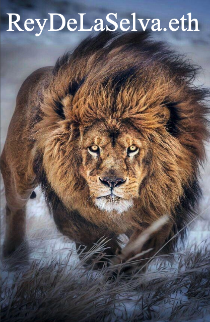 reydelaselva.eth Ethereum Name Service (ENS and .eth domain) PFP