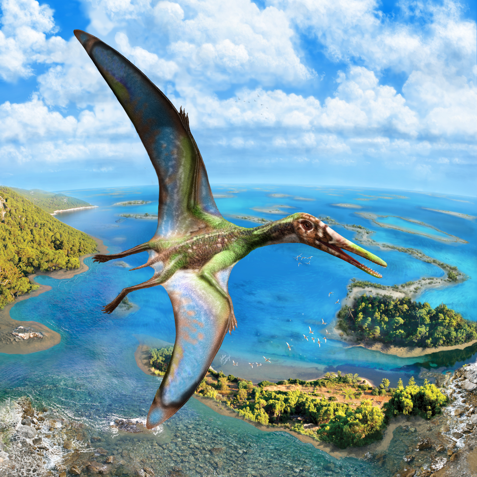 pterosaurs.eth Ethereum Name Service (ENS and .eth domain) PFP