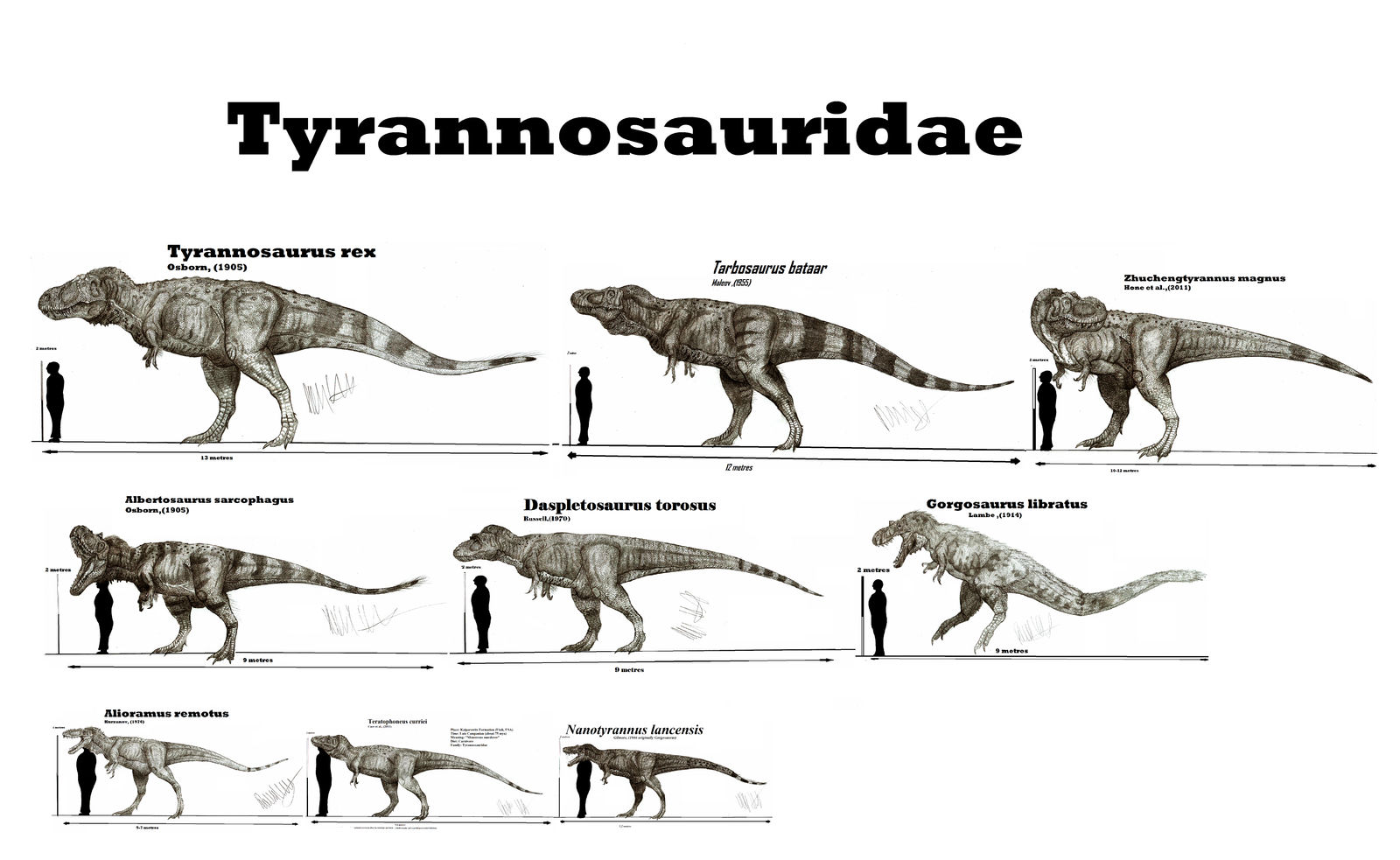 tyrannosauridae.eth Ethereum Name Service (ENS and .eth domain) PFP