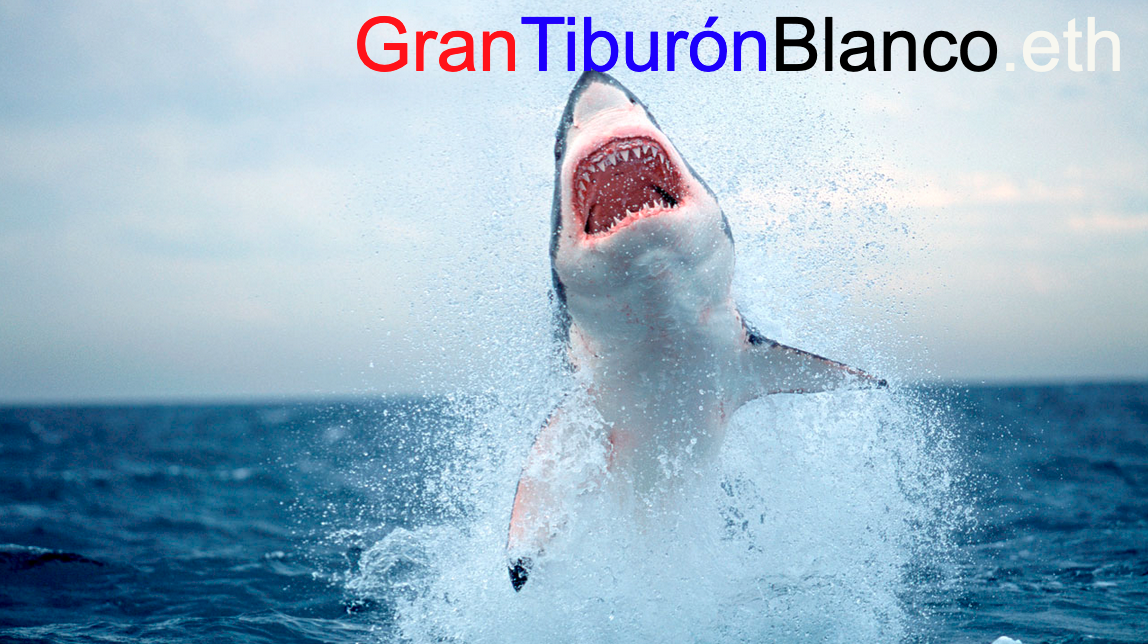 grantiburónblanco.eth Ethereum Name Service (ENS and .eth domain) PFP